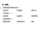 1.2 声音是怎样产生的 (习题课件) 四年级上册科学教科版