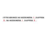 1.5 声音的强与弱 (习题课件) 四年级上册科学教科版