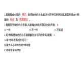 1.8 制作我的小乐器 (习题课件) 四年级上册科学教科版