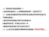 2.2 呼吸与健康生活 (习题课件) 四年级上册科学教科版