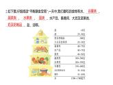 2.6 营养要均衡 (习题课件) 四年级上册科学教科版