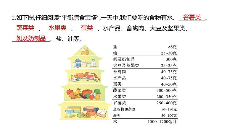 2.6 营养要均衡 (习题课件) 四年级上册科学教科版03