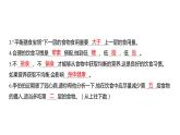 2.6 营养要均衡 (习题课件) 四年级上册科学教科版