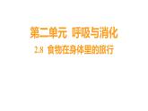 2.8 食物在身体里的旅行 (习题课件) 四年级上册科学教科版