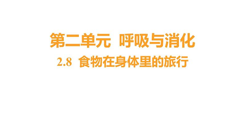 2.8 食物在身体里的旅行 (习题课件) 四年级上册科学教科版01