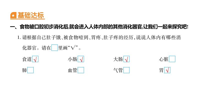 2.8 食物在身体里的旅行 (习题课件) 四年级上册科学教科版02