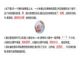 2.8 食物在身体里的旅行 (习题课件) 四年级上册科学教科版