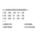 2.8 食物在身体里的旅行 (习题课件) 四年级上册科学教科版