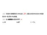 3.1 让小车运动起来 (习题课件) 四年级上册科学教科版