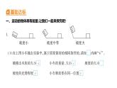 3.6 运动的小车 (习题课件) 四年级上册科学教科版