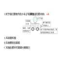 3.7 设计制作小车（一） (习题课件) 四年级上册科学教科版