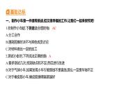 3.8 設(shè)計(jì)制作小車（二） (習(xí)題課件) 四年級(jí)上冊(cè)科學(xué)教科版