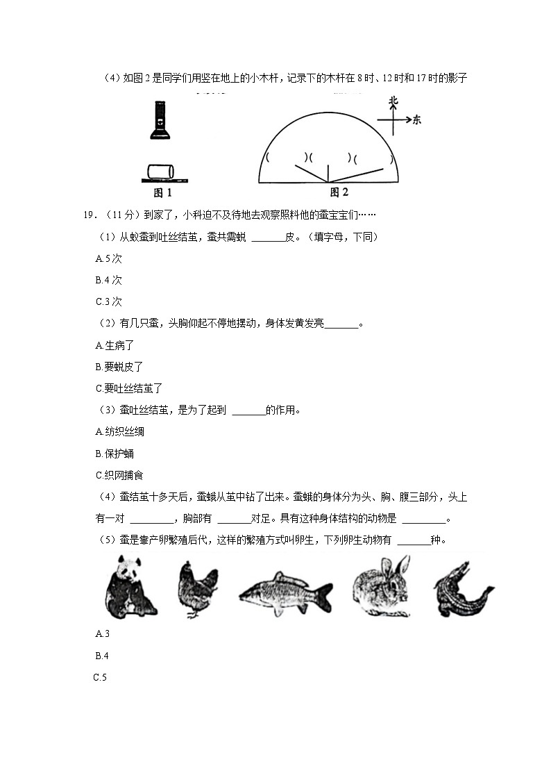 2022-2023学年陕西渭南潼关县三年级下学期期末科学试卷（含解析）03