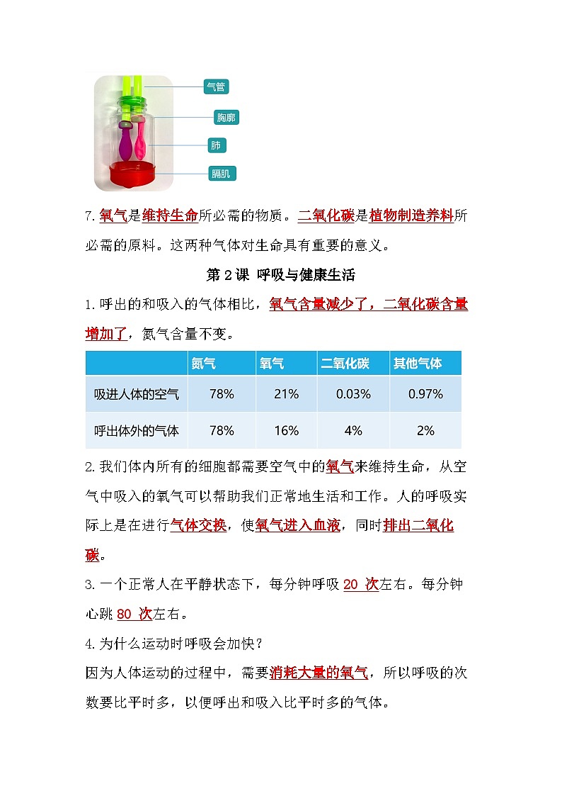 教科版四年级科学上册-第二单元《呼吸与消化》知识点02