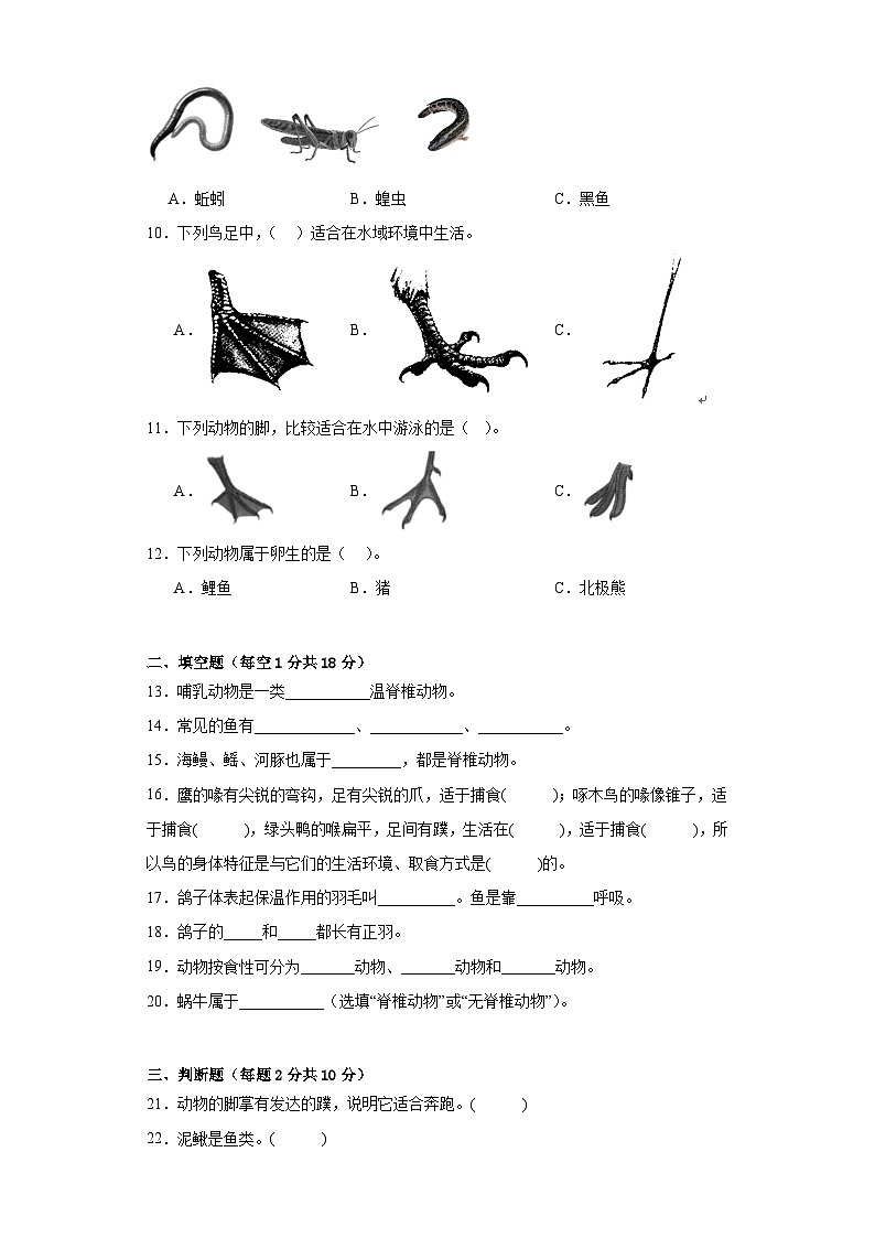 苏教版四年级科学上册第一单元动物大家族达标检测（C）卷附答案02
