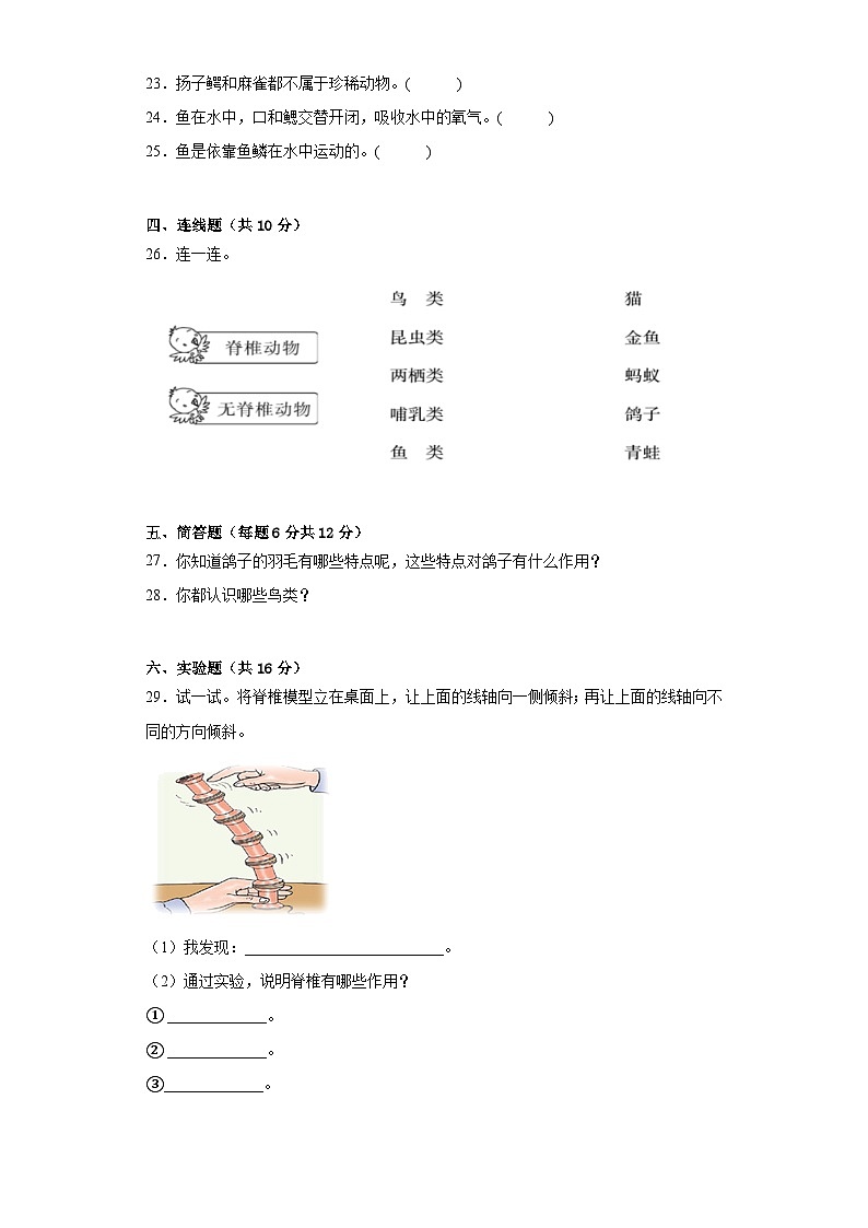 苏教版四年级科学上册第一单元动物大家族达标检测（C）卷附答案03