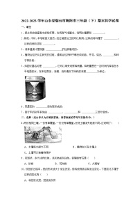 山东省烟台市海阳市2022-2023学年三年级下学期期末考试科学试题