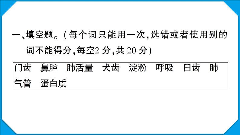 教科版四年级科学上册第二单元测试卷第2页