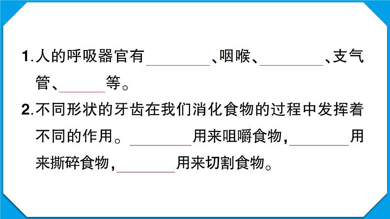 教科版四年级科学上册第二单元测试卷第3页