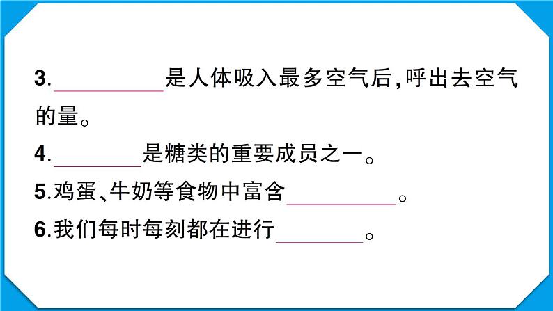 教科版四年级科学上册第二单元测试卷第4页