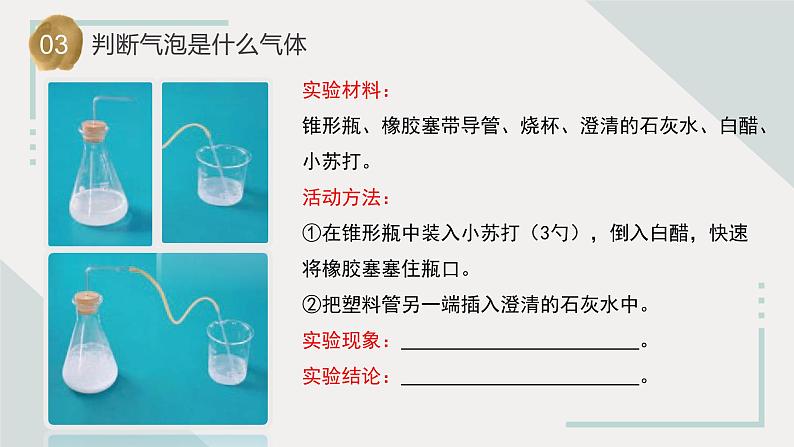 苏教版科学六年级上册 第3课  制作汽水 教学课件+同步练习+同步教案08