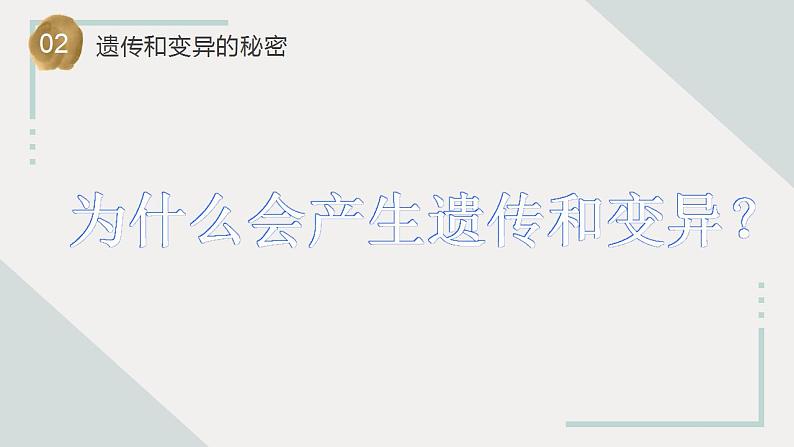 苏教版科学六年级上册 第7课 寻找遗传与变异的秘密 教学课件+同步练习+同步教案05