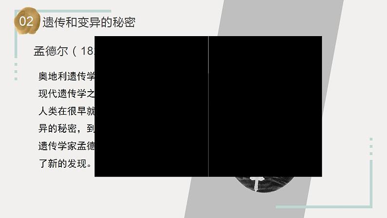 苏教版科学六年级上册 第7课 寻找遗传与变异的秘密 教学课件+同步练习+同步教案06