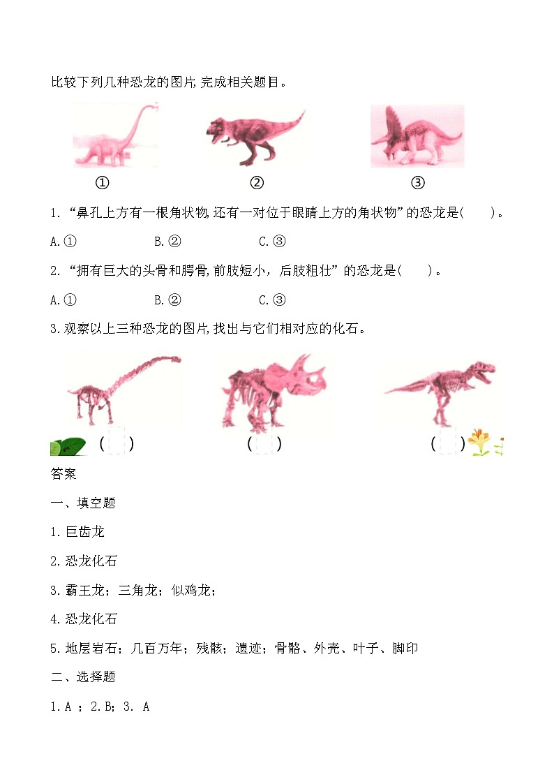 苏教版小学六年级上册 第8课 消失的恐龙 教学课件+同步练习+同步教案02