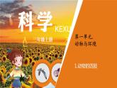 青岛版三年级上册科学1.《动物的四肢》（课件）