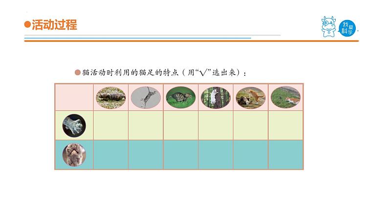 青岛版三年级上册科学1.《动物的四肢》（课件）06