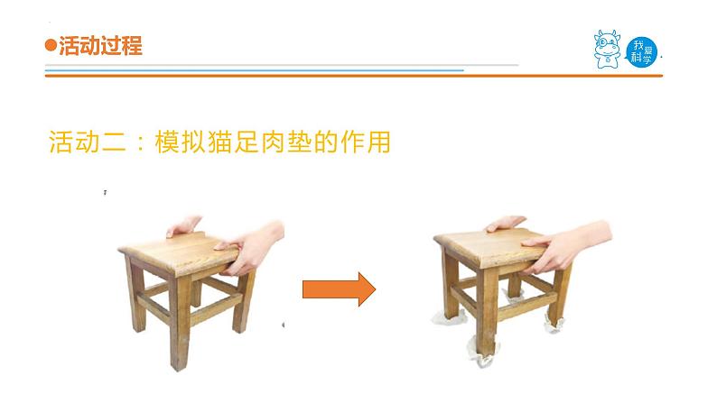 青岛版三年级上册科学1.《动物的四肢》（课件）07