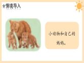 青岛版一年级科学下册7小动物找妈妈课件