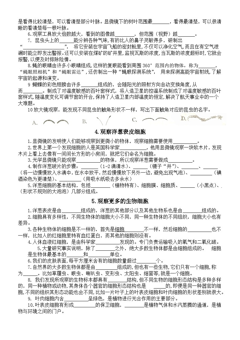 小学科学教科版六年级上册全册知识点填空课课练（2023秋）无答案第3页