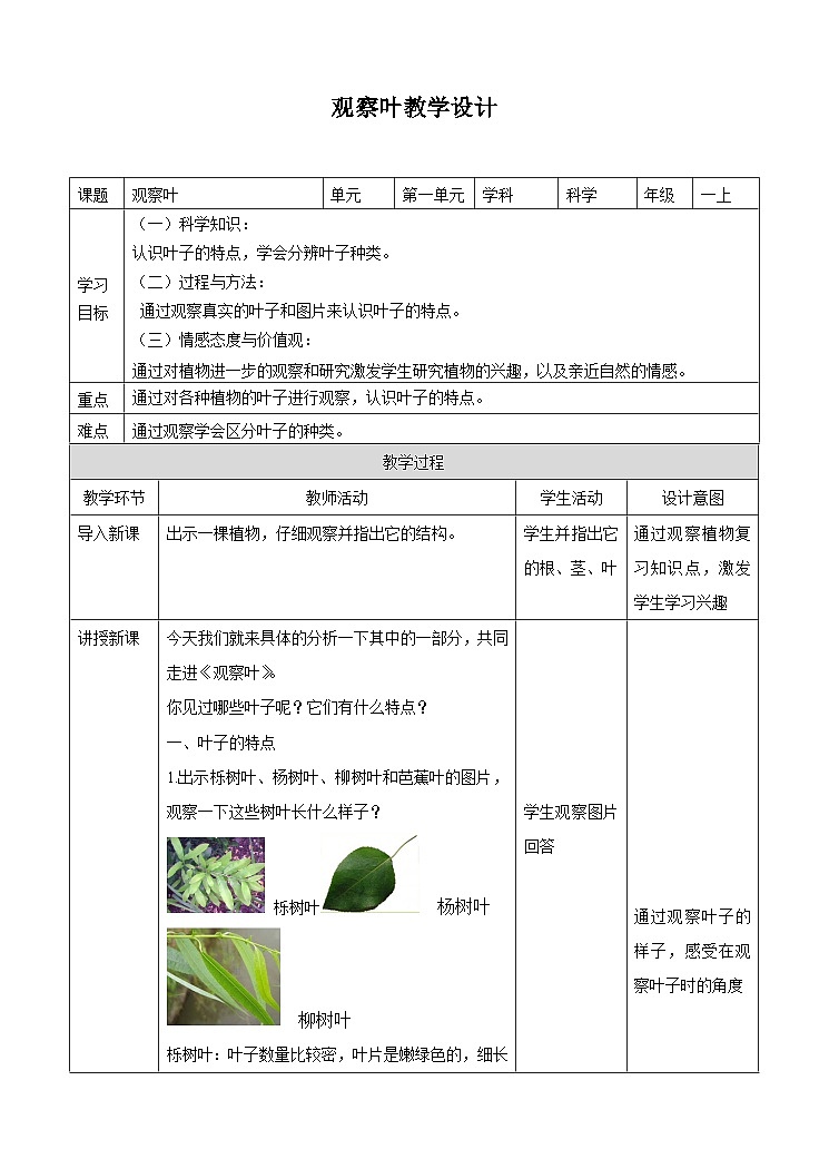 教科版一上第一单元第三课《观察叶》（教案）01