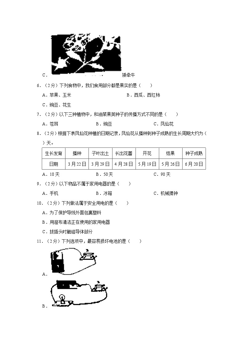 2022-2023学年湖南省怀化市芷江县四年级下学期期末科学试卷（含解析）第2页