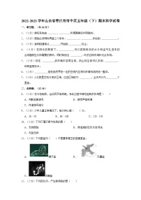 2022-2023学年山东省枣庄市市中区五年级下学期期末科学试卷（含解析）