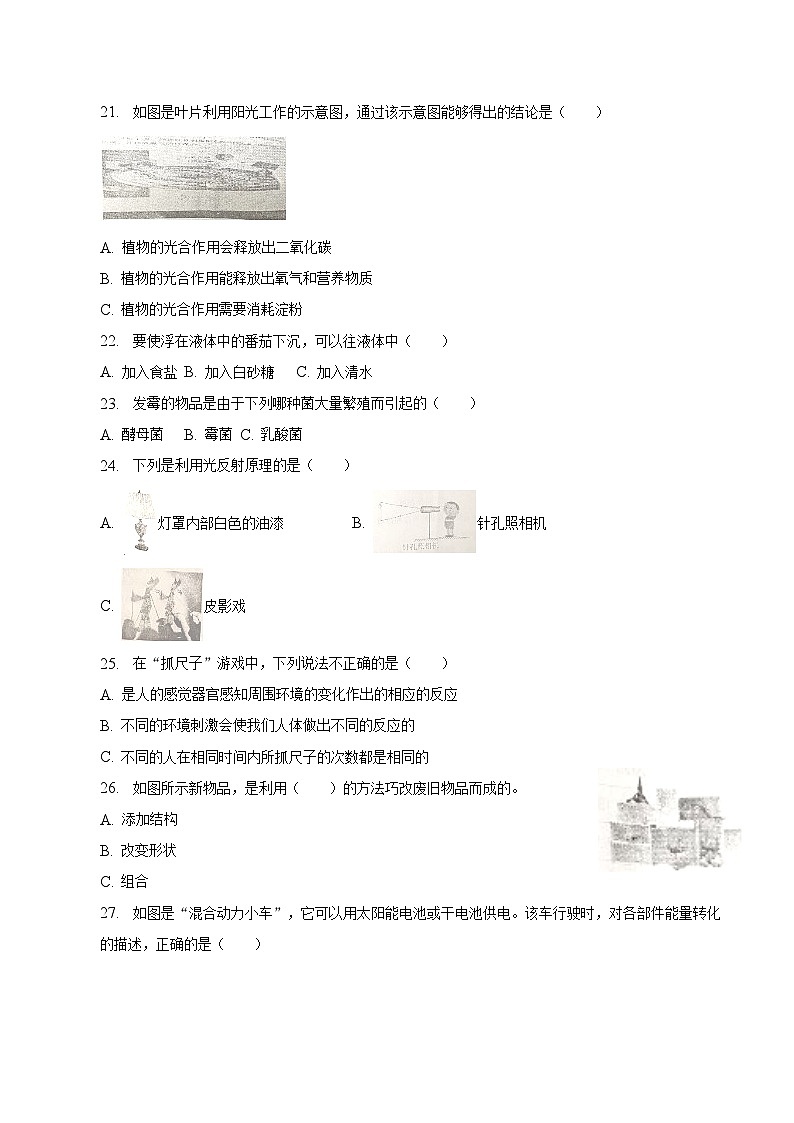 湖北省孝感市2023届小升初科学试卷（含解析）第3页