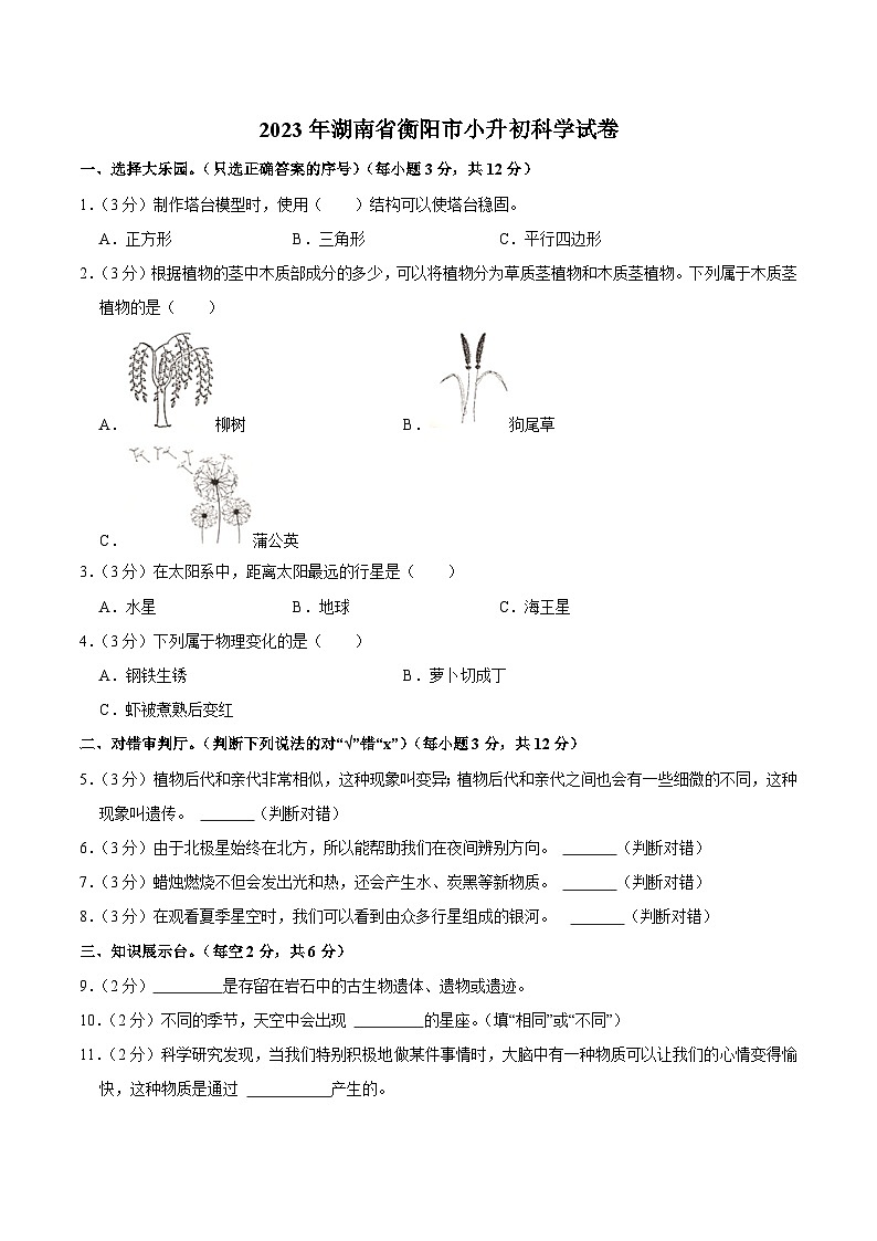 湖南省衡阳市2023届小升初科学试卷01