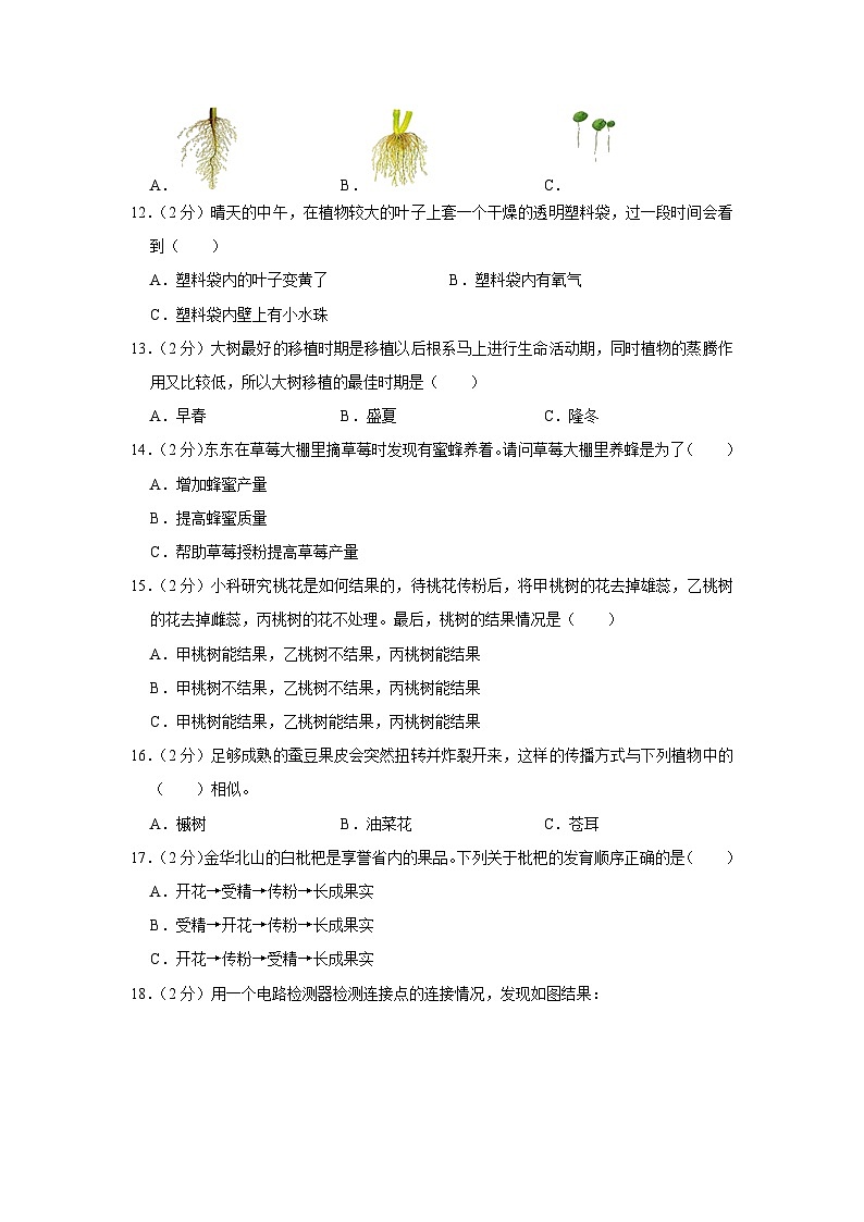 浙江省金华市兰溪市2021-2022学年四年级下学期期末科学试卷第2页