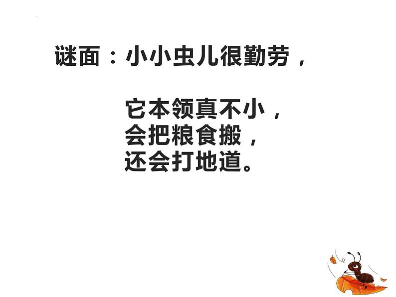 1.蚂蚁（课件）四年级上册科学青岛版01