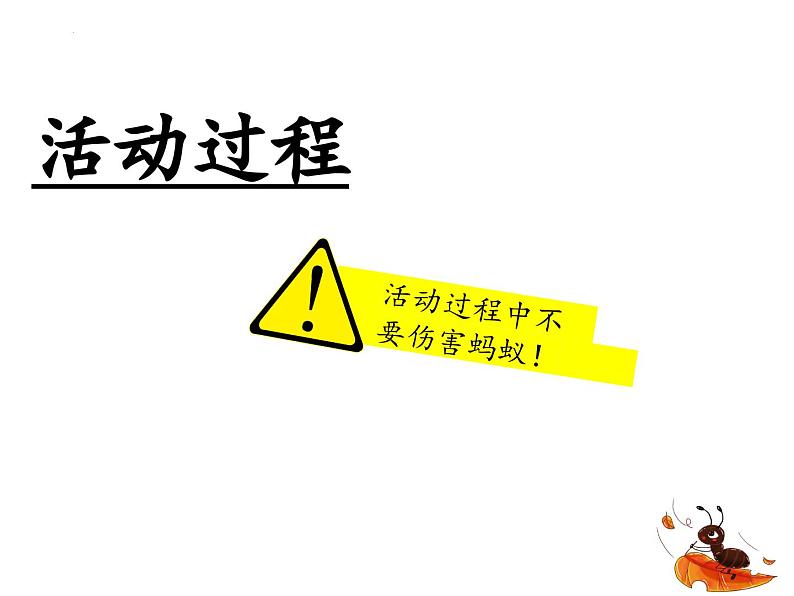 1.蚂蚁（课件）四年级上册科学青岛版04