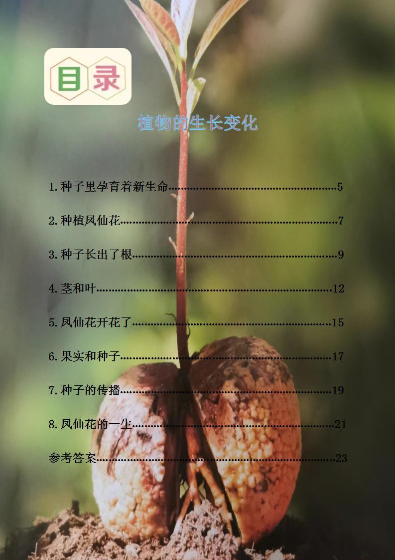 第一单元科学四川省中小学作业设计模板02
