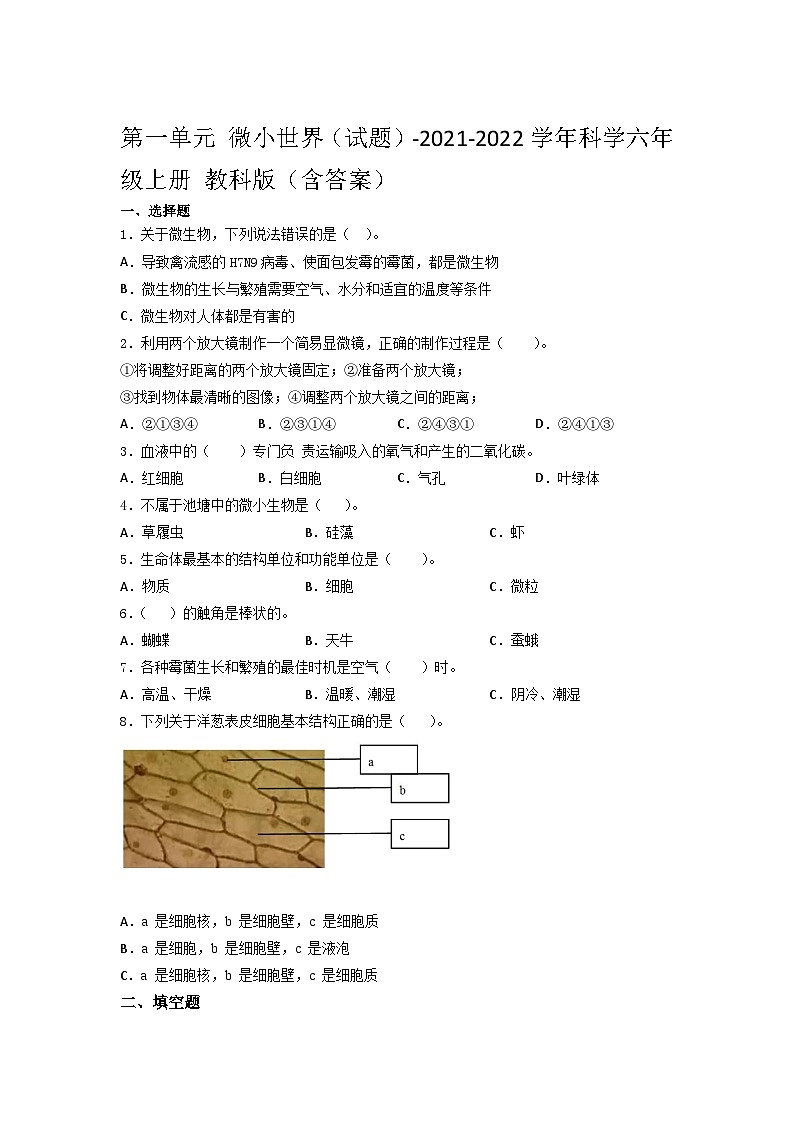 教科版科学六年级上  第一单元 微小世界单元水平检测卷（含答案）01