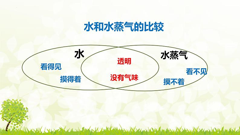 三年级教科版上册科学《水的变化》教学课件07