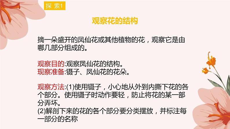 四年级教科版下册科学1.5《凤仙花开花了》教学课件07