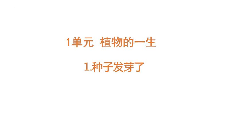 苏教版三年级下册科学1.1种子发芽了教学课件01