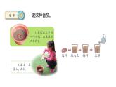 苏教版三年级下册科学1.1种子发芽了教学课件