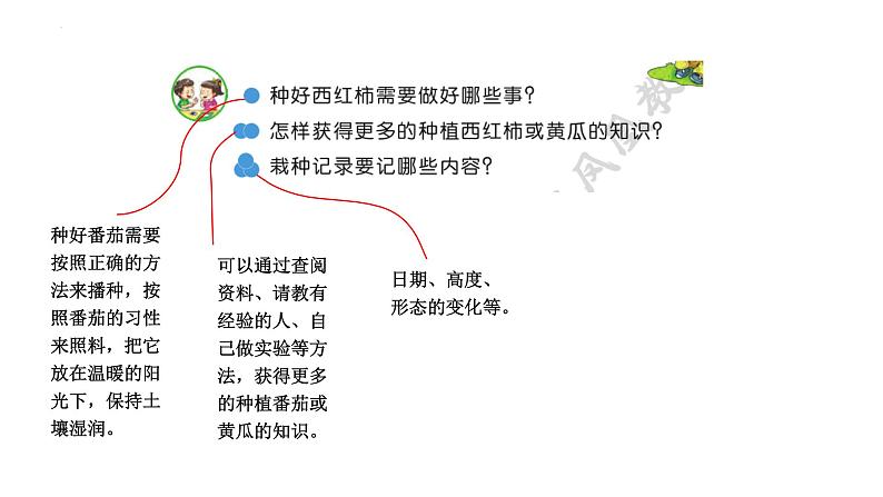 苏教版三年级下册科学1.1种子发芽了教学课件06