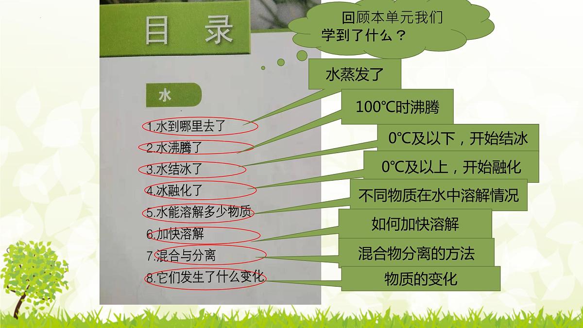 三年级教科版上册科学《溶解与分离》教学课件第2页