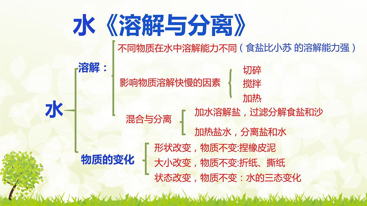 三年级教科版上册科学《溶解与分离》教学课件第3页